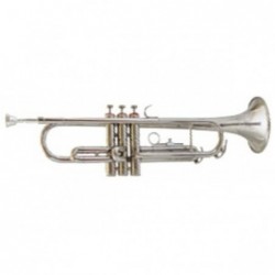 Trompeta Amadeus TR600N Sib Niquelada, campana Bronce y...