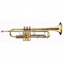 Trompeta Sib Vincent Bach VBS-1 Lacada