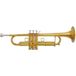 Trompeta Fides Pioneer FTR-5000MLS Sib Plateada